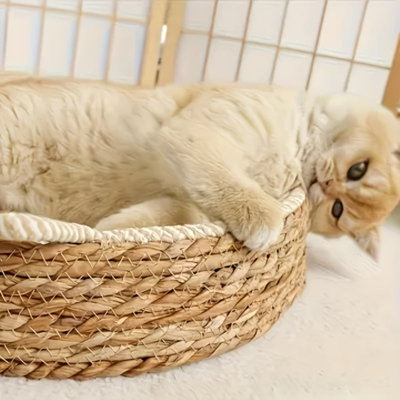 Woven Cat Basket with Oren and Jute Scratching Surface