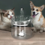 Transparent USB Pet Drinking Fountain With Faucet Spout