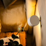 Wall Lamp for Everyday Home Lighting