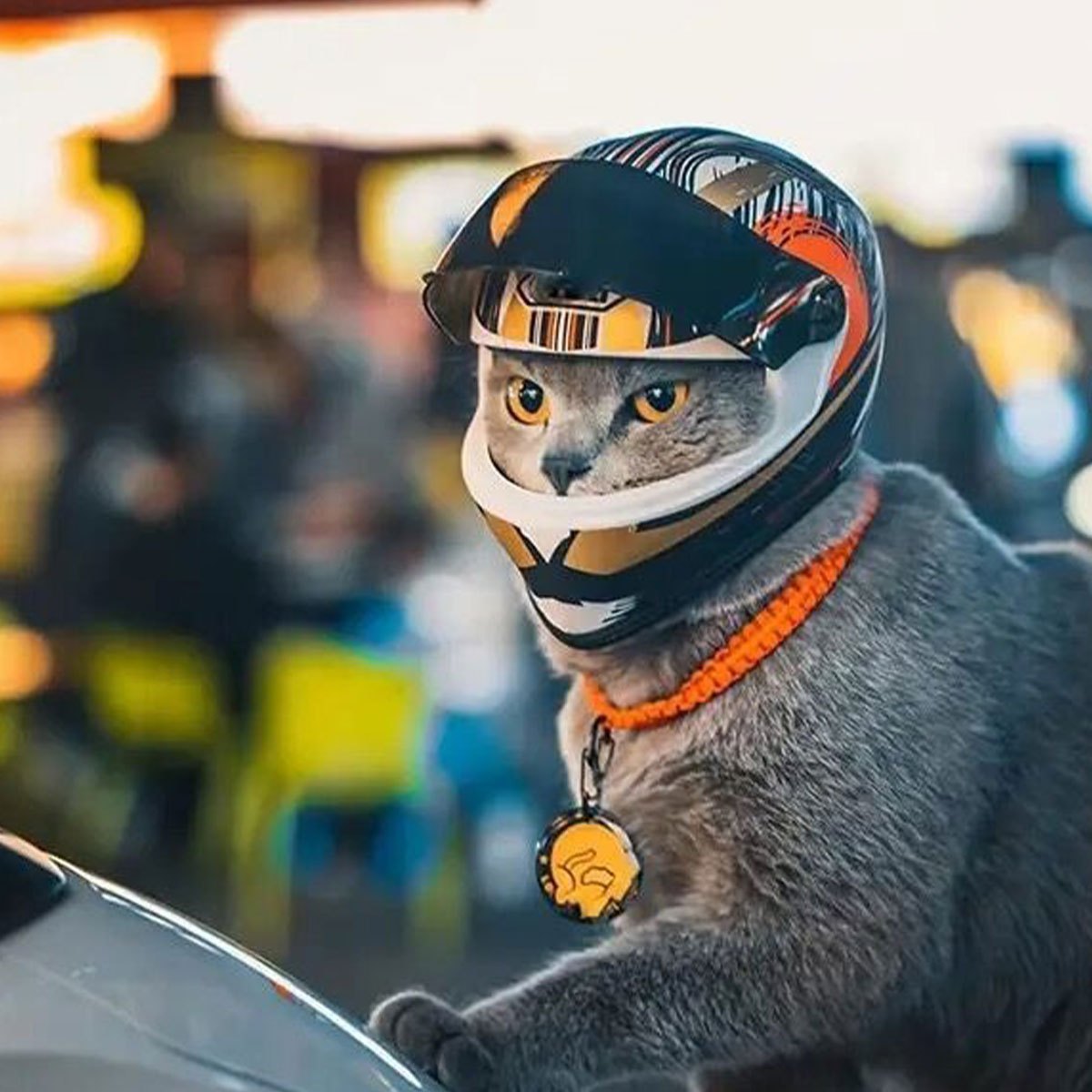 Mini Motorcycle Helmet Costume Accessory for Cats