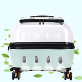 Transparent Cat Carrier With Ventilation and Storage Pocket