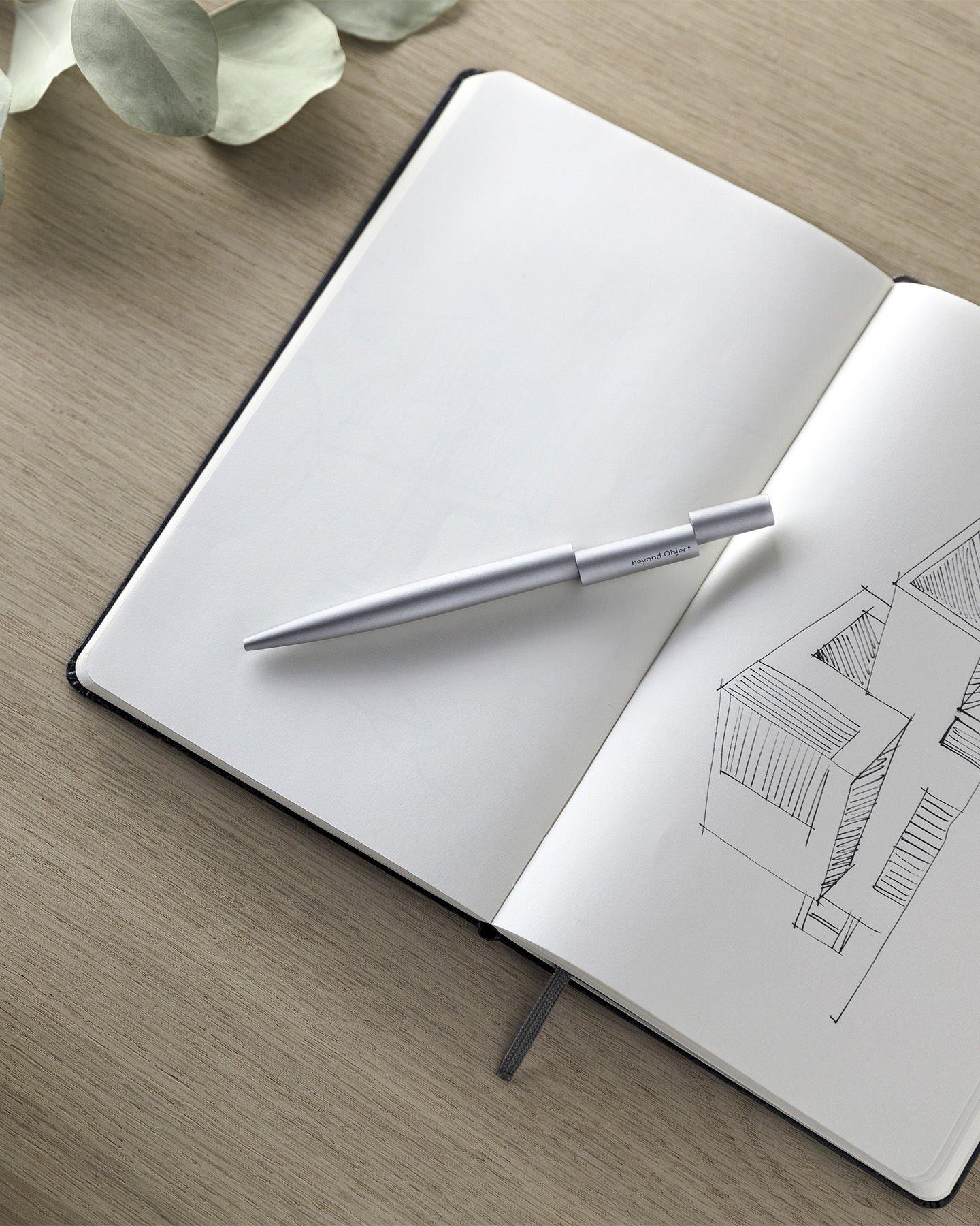 Ballpoint Pen for Everyday Writing and Office Use