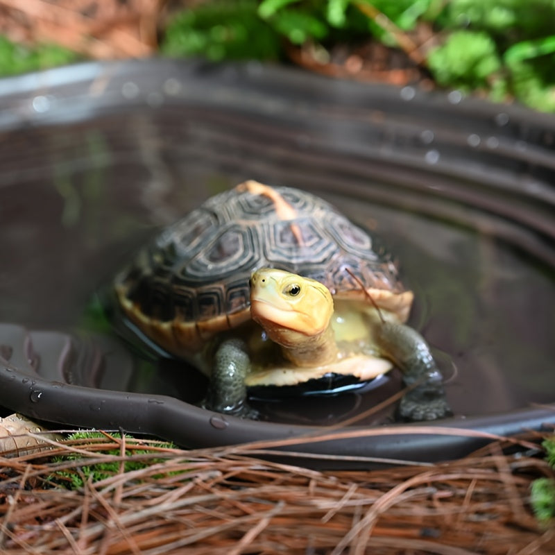 Stable Reptile Bath and Water Bowl for Terrariums