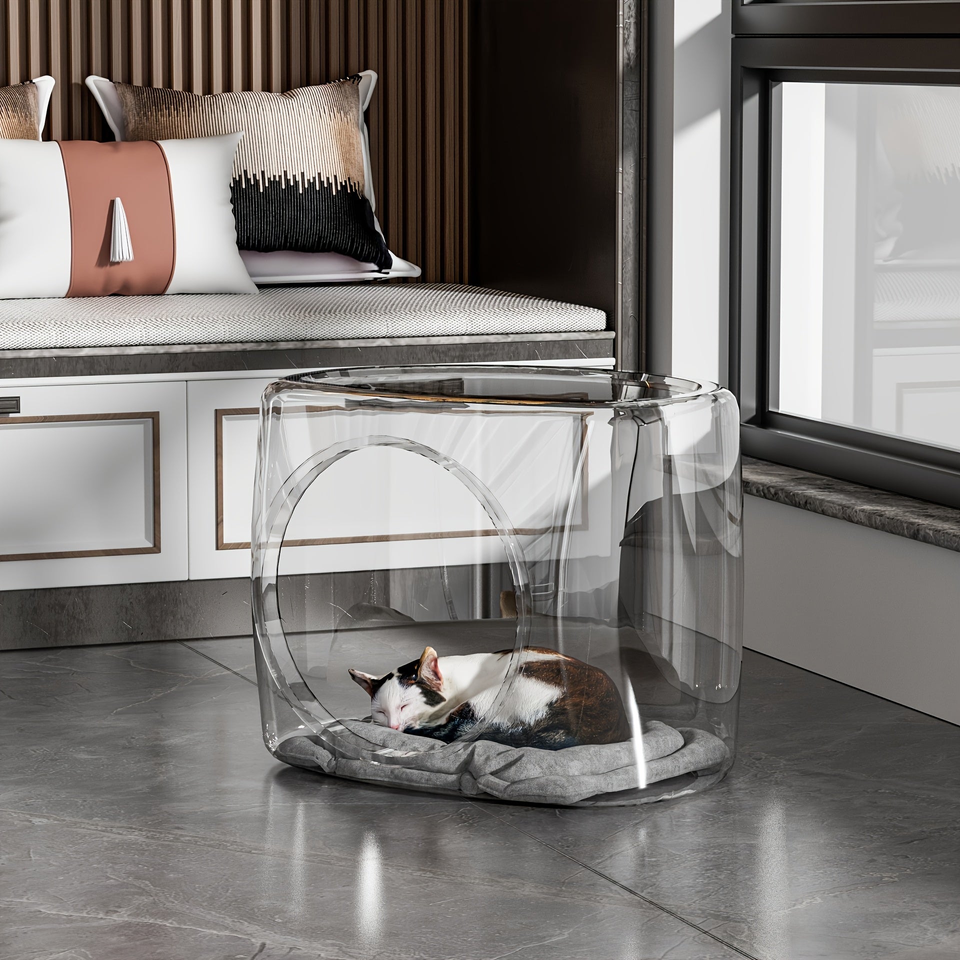 Modern Transparent Cat House of Plastic