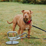360 Degree Rotating Ground Anchor for Dogs up to 41 Kg