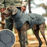 Padded Dog Jacket with Reflective Details and Hook-And-Loop Fastening