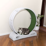 Cat Exercise Wheel with Covered Running and Scratching Surface
