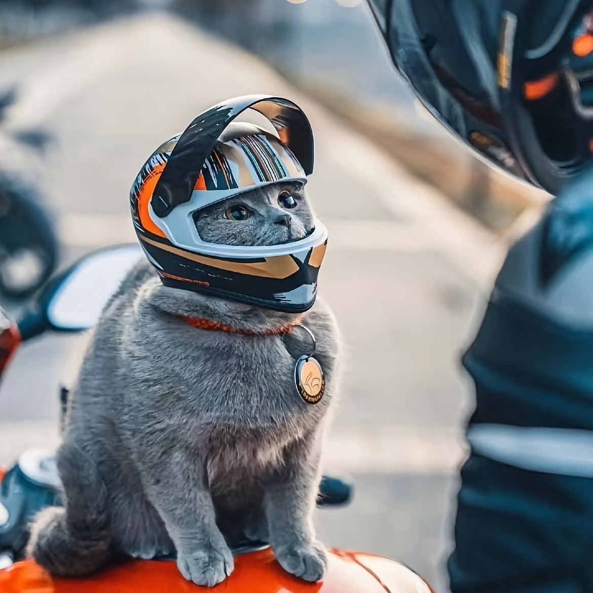 Mini Motorcycle Helmet Costume Accessory for Cats