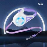 Dog Leash with LED-Lighting for Everyday Pet Care