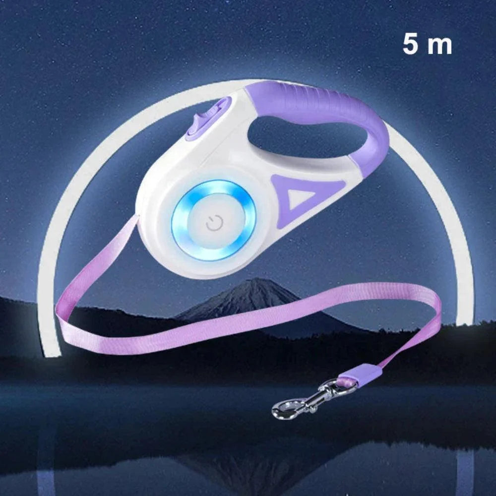 Dog Leash with LED-Lighting for Everyday Pet Care