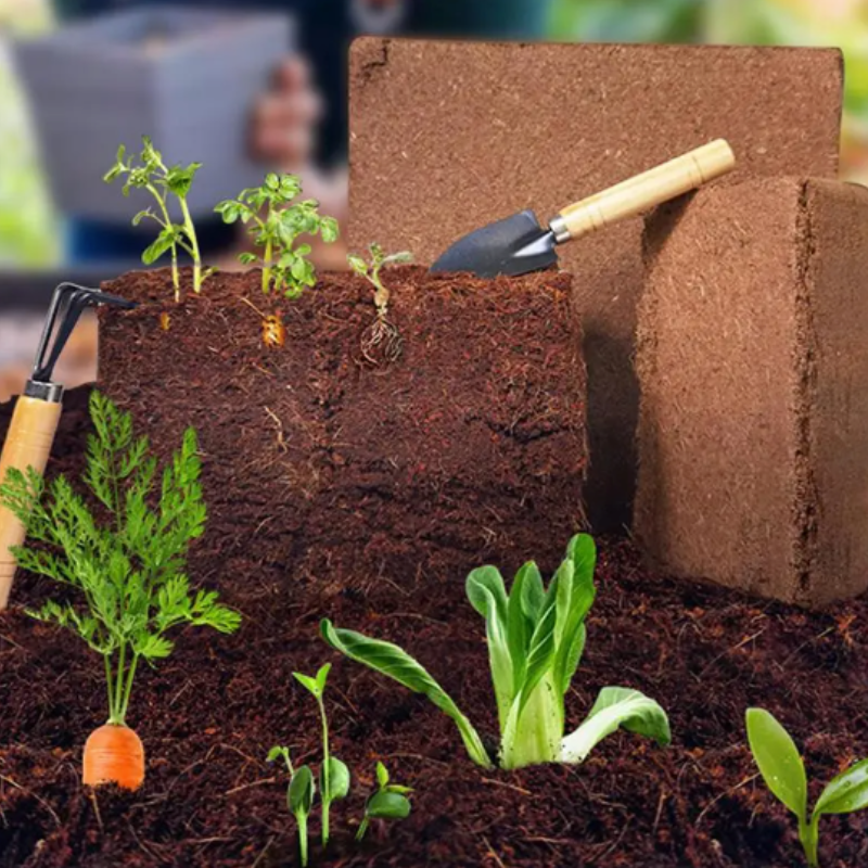 Coconut Coir Growing Medium for Everyday Practical Use