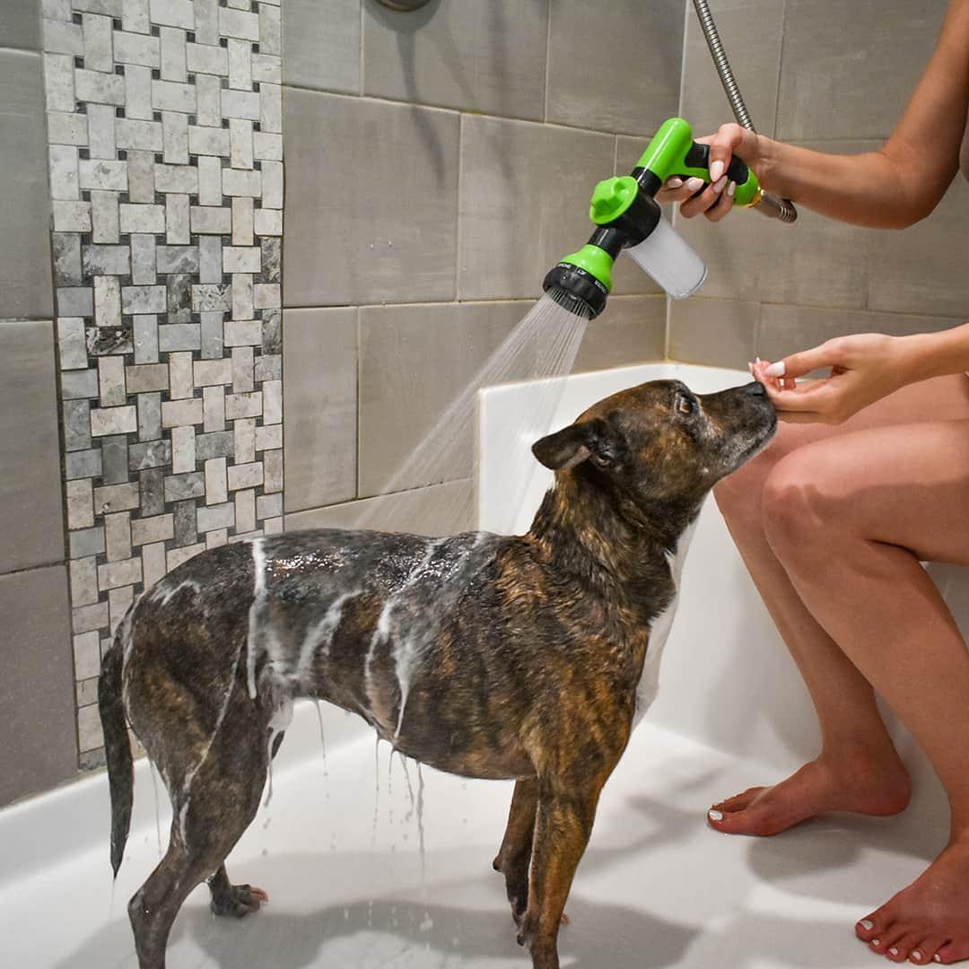 Dog Shower Sprayer for Everyday Pet Care