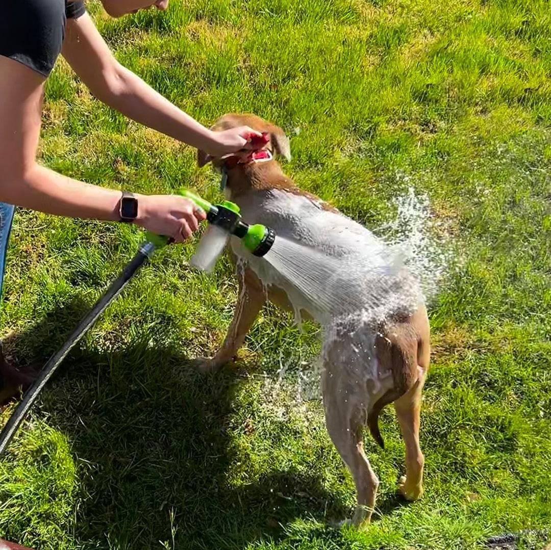 Dog Shower Sprayer for Everyday Pet Care