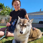 Dog Shower Sprayer for Everyday Pet Care