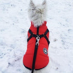 Waterproof Dog Jacket With Integrated Harness