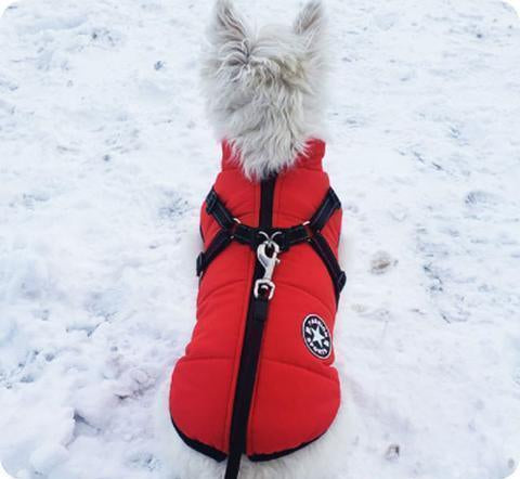 Waterproof Dog Jacket With Integrated Harness