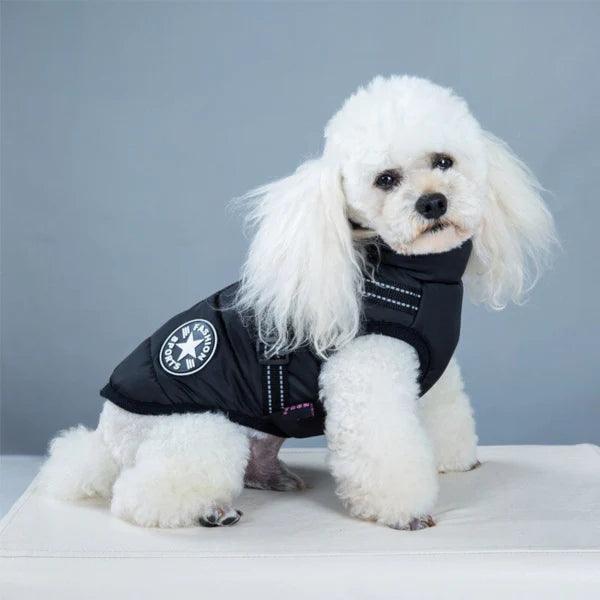 Waterproof Dog Jacket With Integrated Harness