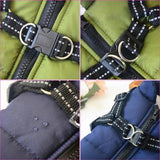 Waterproof Dog Jacket With Integrated Harness