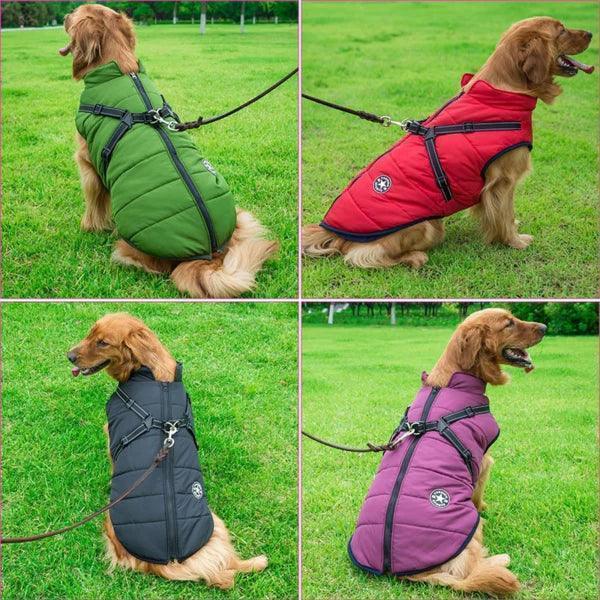 Waterproof Dog Jacket With Integrated Harness