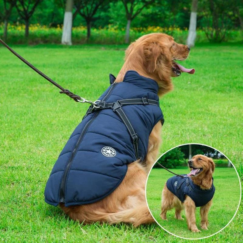 Waterproof Dog Jacket With Integrated Harness